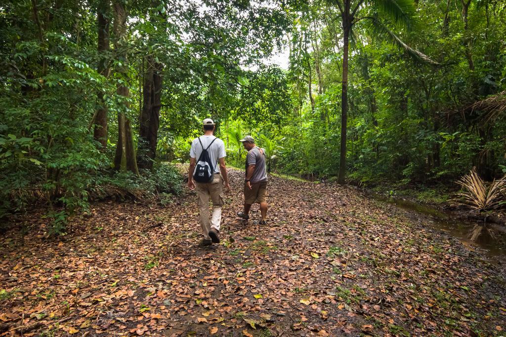 Lirio Lodge Barra de Pacuare Exteriér fotografie