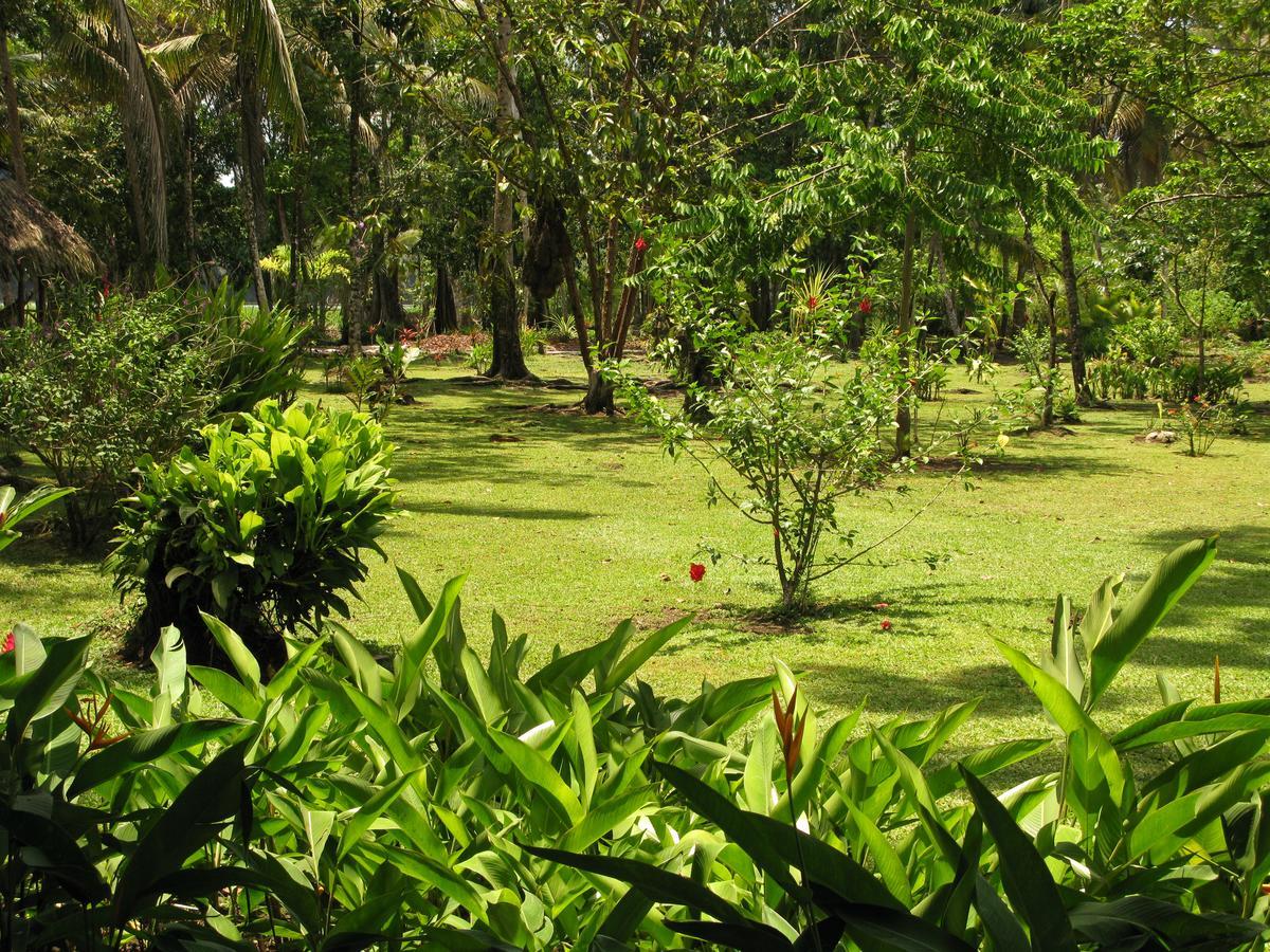 Lirio Lodge Barra de Pacuare Exteriér fotografie