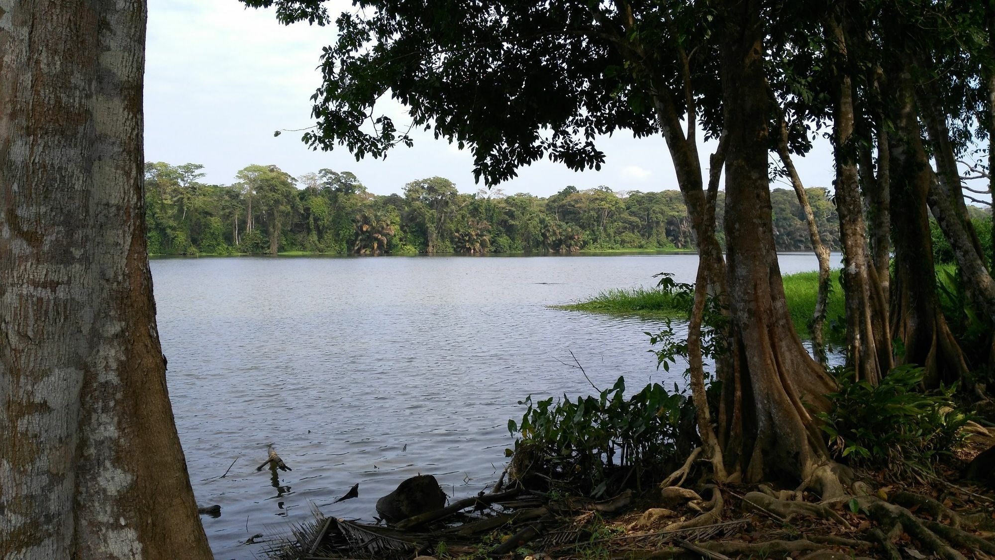 Lirio Lodge Barra de Pacuare Exteriér fotografie