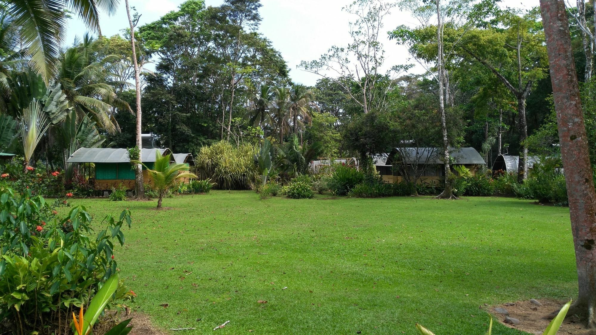 Lirio Lodge Barra de Pacuare Exteriér fotografie