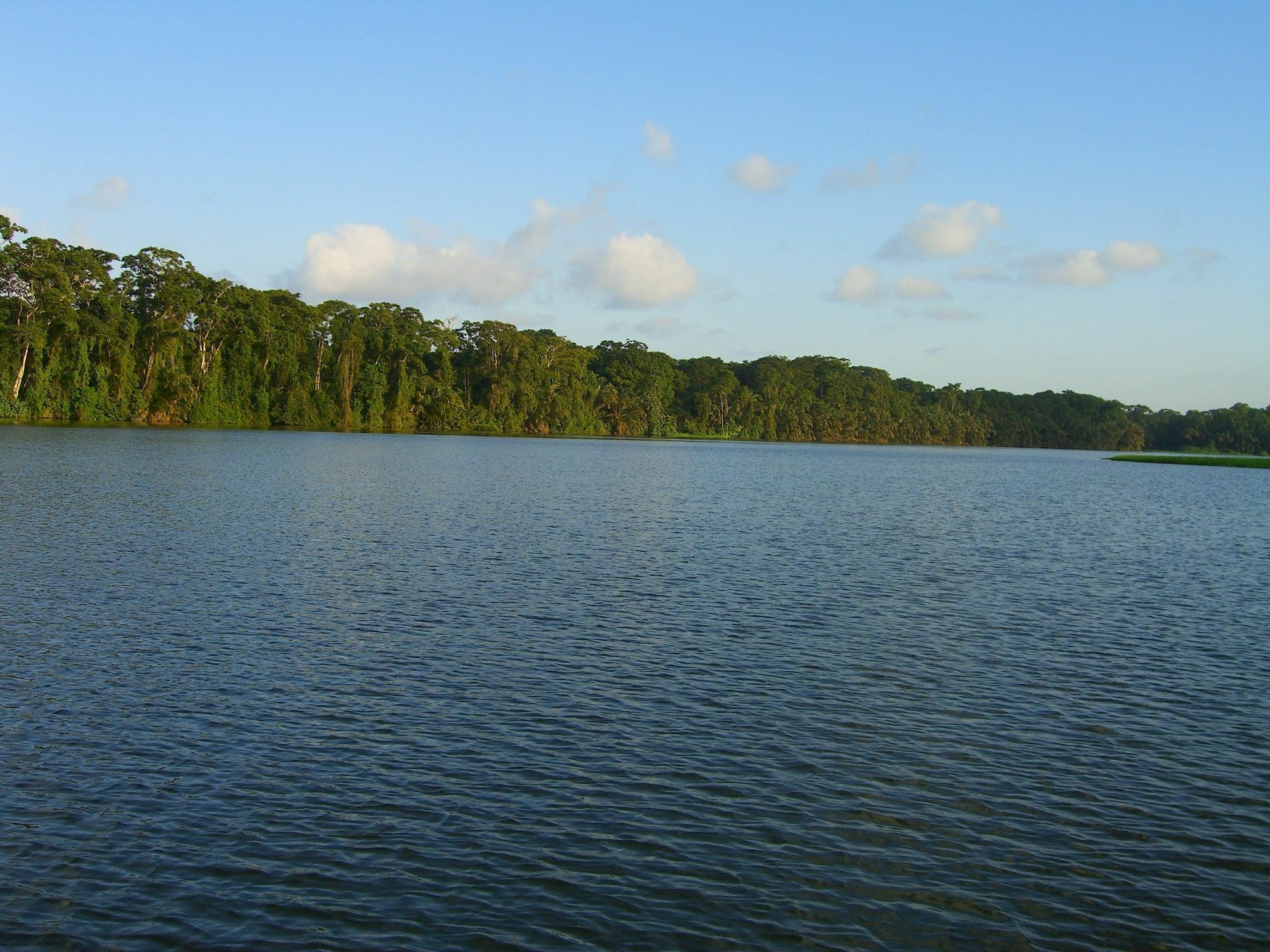 Lirio Lodge Barra de Pacuare Exteriér fotografie