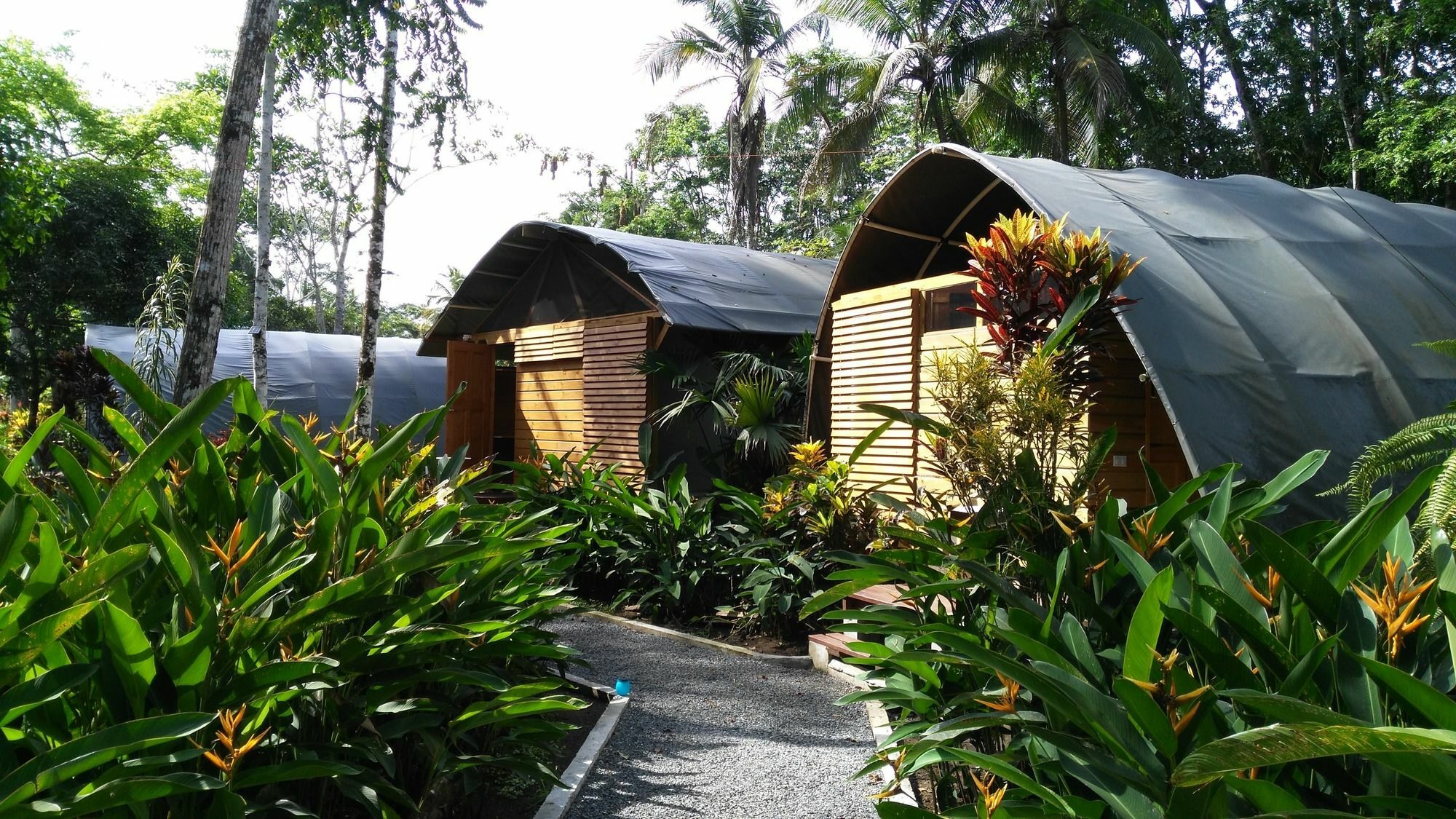 Lirio Lodge Barra de Pacuare Exteriér fotografie