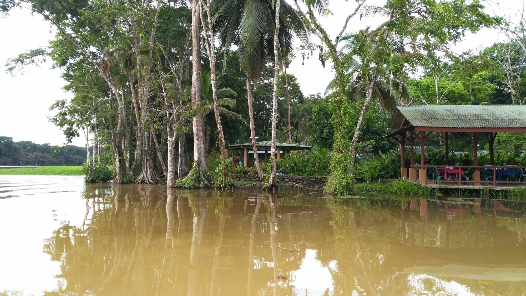 Lirio Lodge Barra de Pacuare Exteriér fotografie