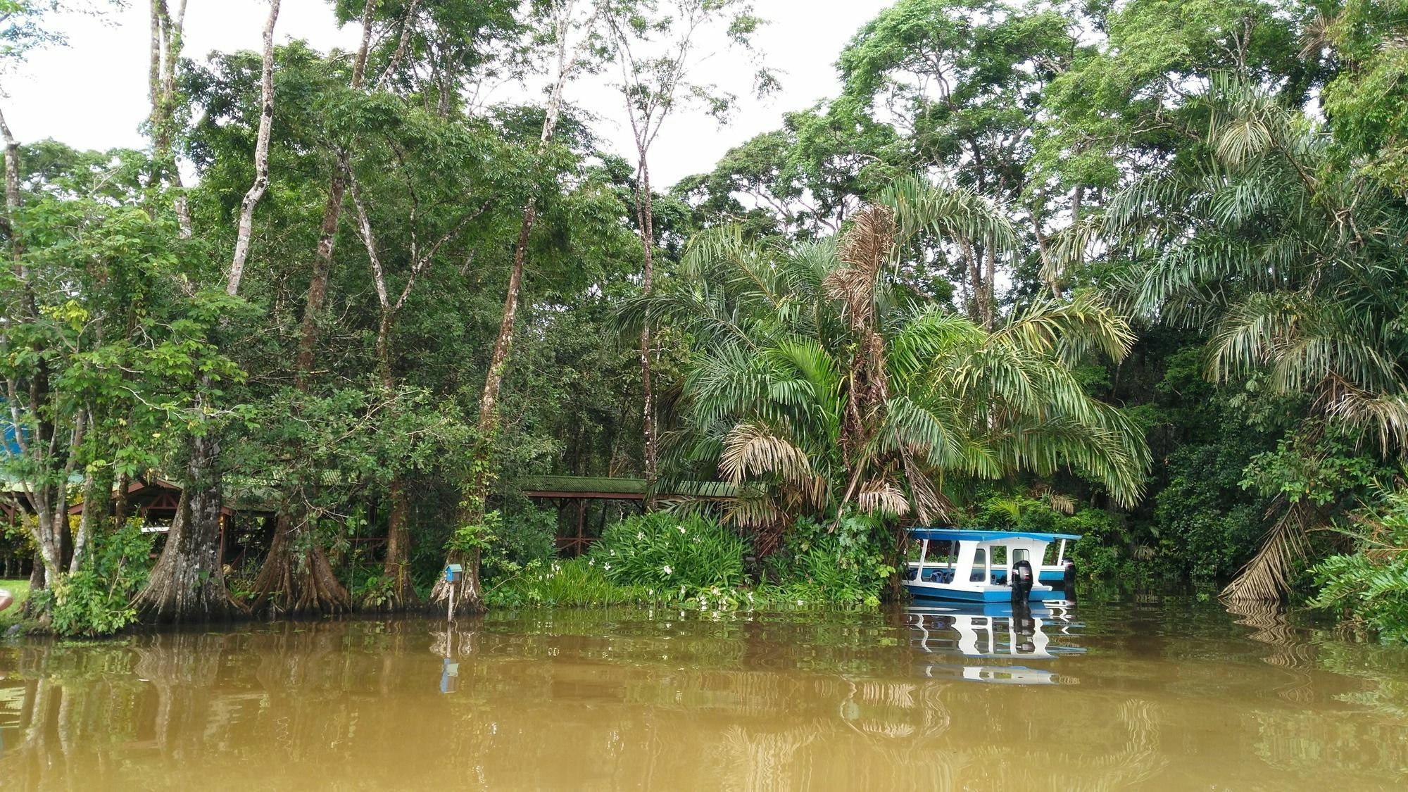 Lirio Lodge Barra de Pacuare Exteriér fotografie